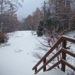 2012年　初雪