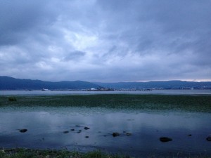 諏訪湖　新作花火2013