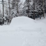 雪で埋もれた車