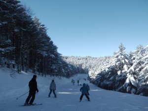 ブランシュたかやま山頂　モミの木樹氷コース