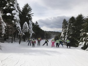 モミの木樹氷コース　競争