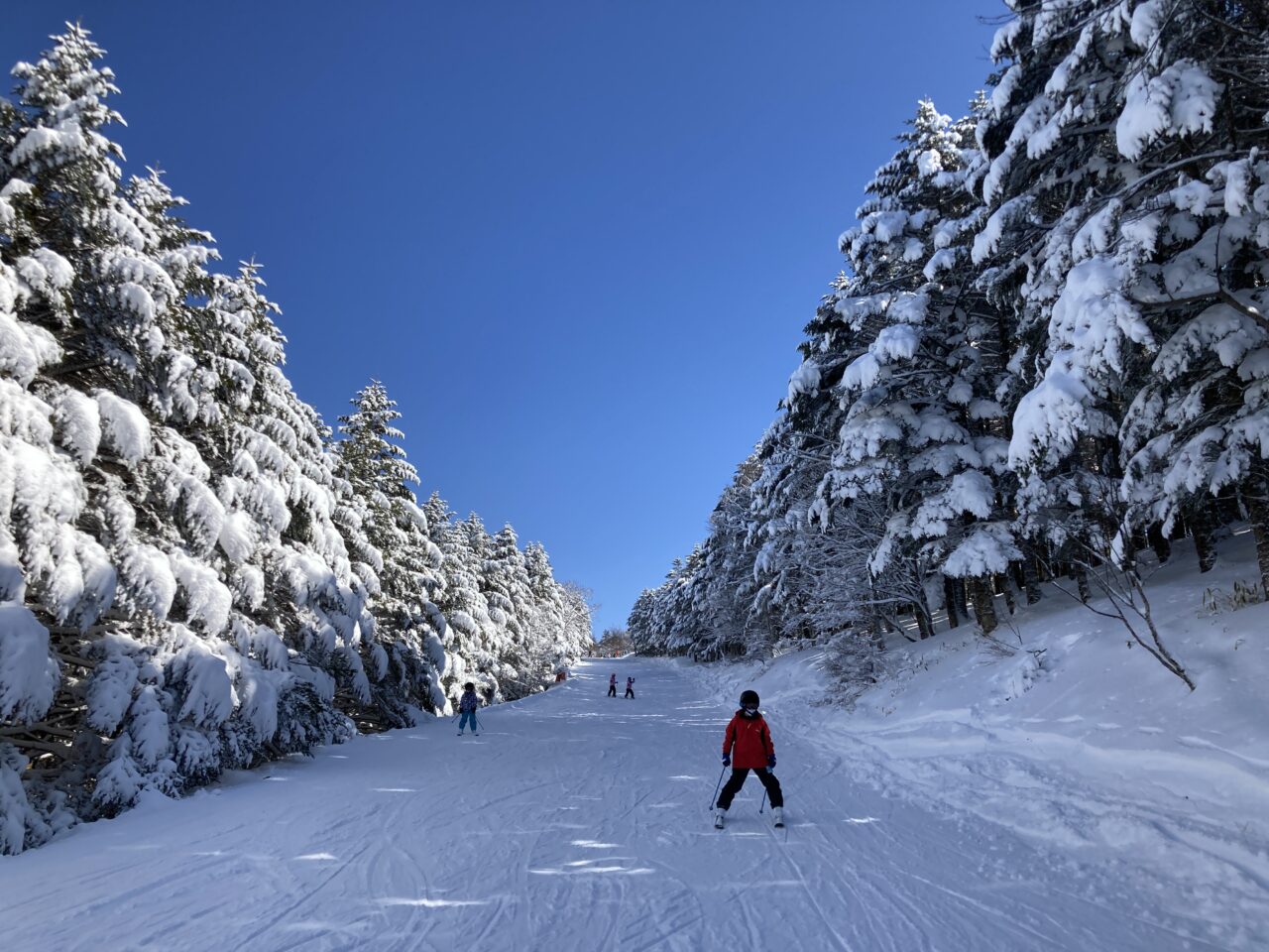 ブランシュたかやま　無料スキーレッスン　モミの木樹氷コース